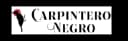 Carpintero Negro
